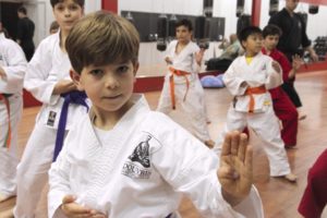 2023 karate summer camp