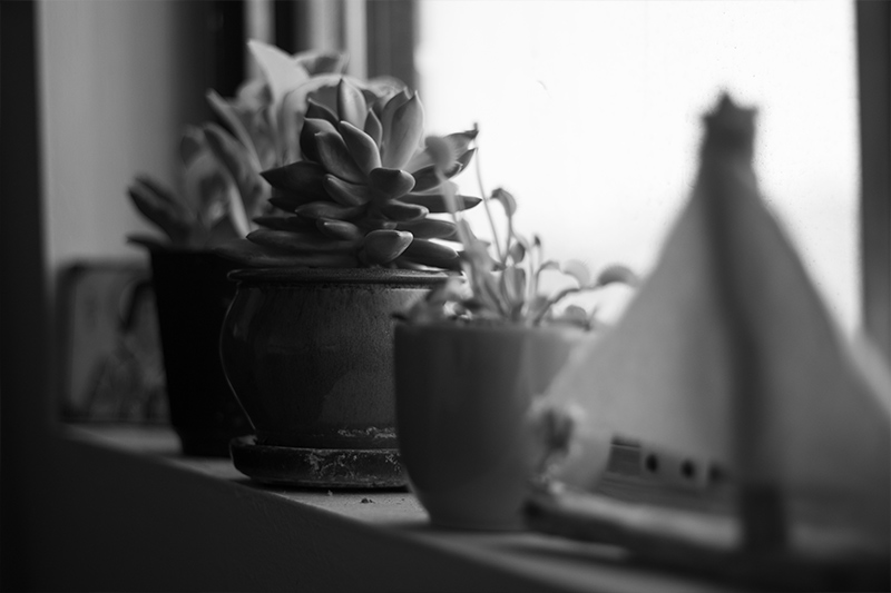 july_peacfule_hobbies july_peacfule_hobbies